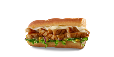 Efsane Teriyaki 15