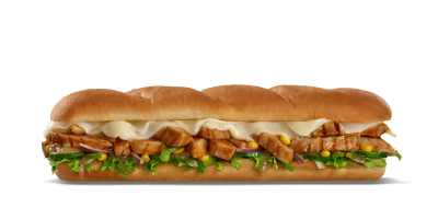 Efsane Teriyaki 30